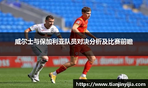 威尔士与保加利亚队员对决分析及比赛前瞻